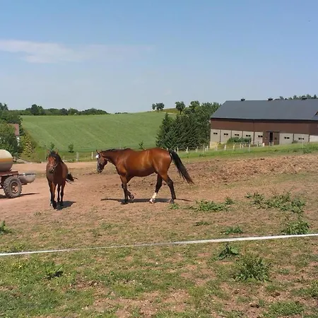 Ferienwohznung Huhle By Interhome Obernaundorf