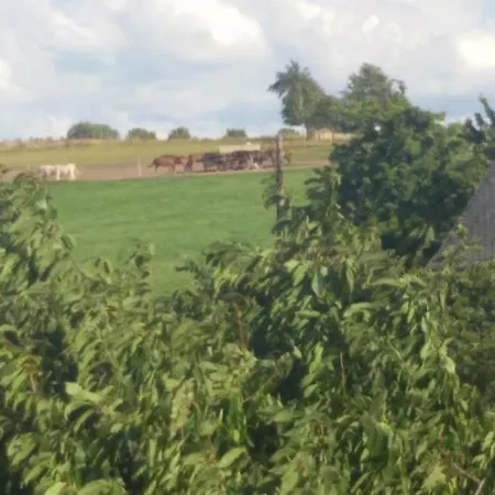 Ferienwohznung Huhle By Interhome Appartamento