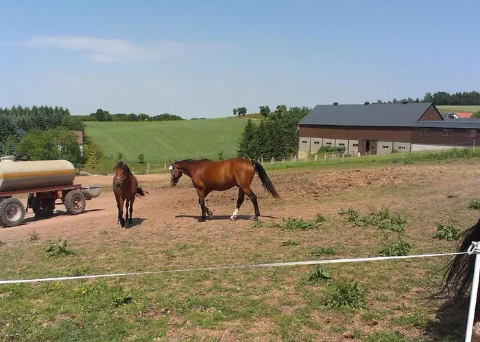 Ferienwohznung Huhle By Interhome Obernaundorf