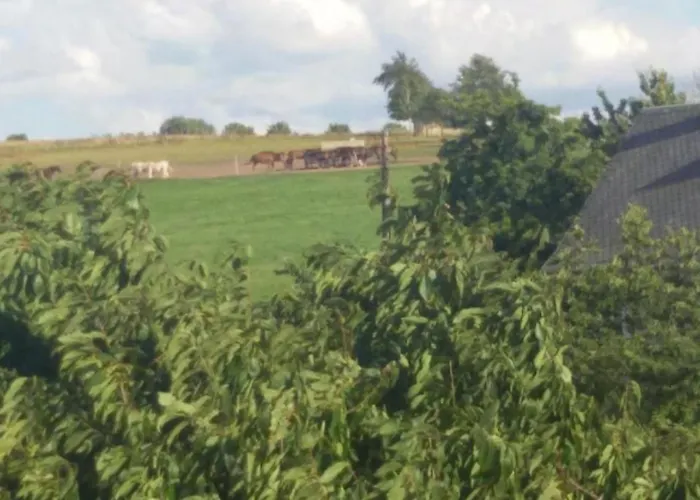 Ferienwohznung Huhle By Interhome Apartment